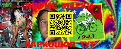 индика Лесосибирск