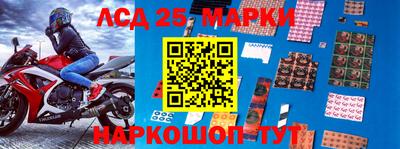 индика Лесосибирск